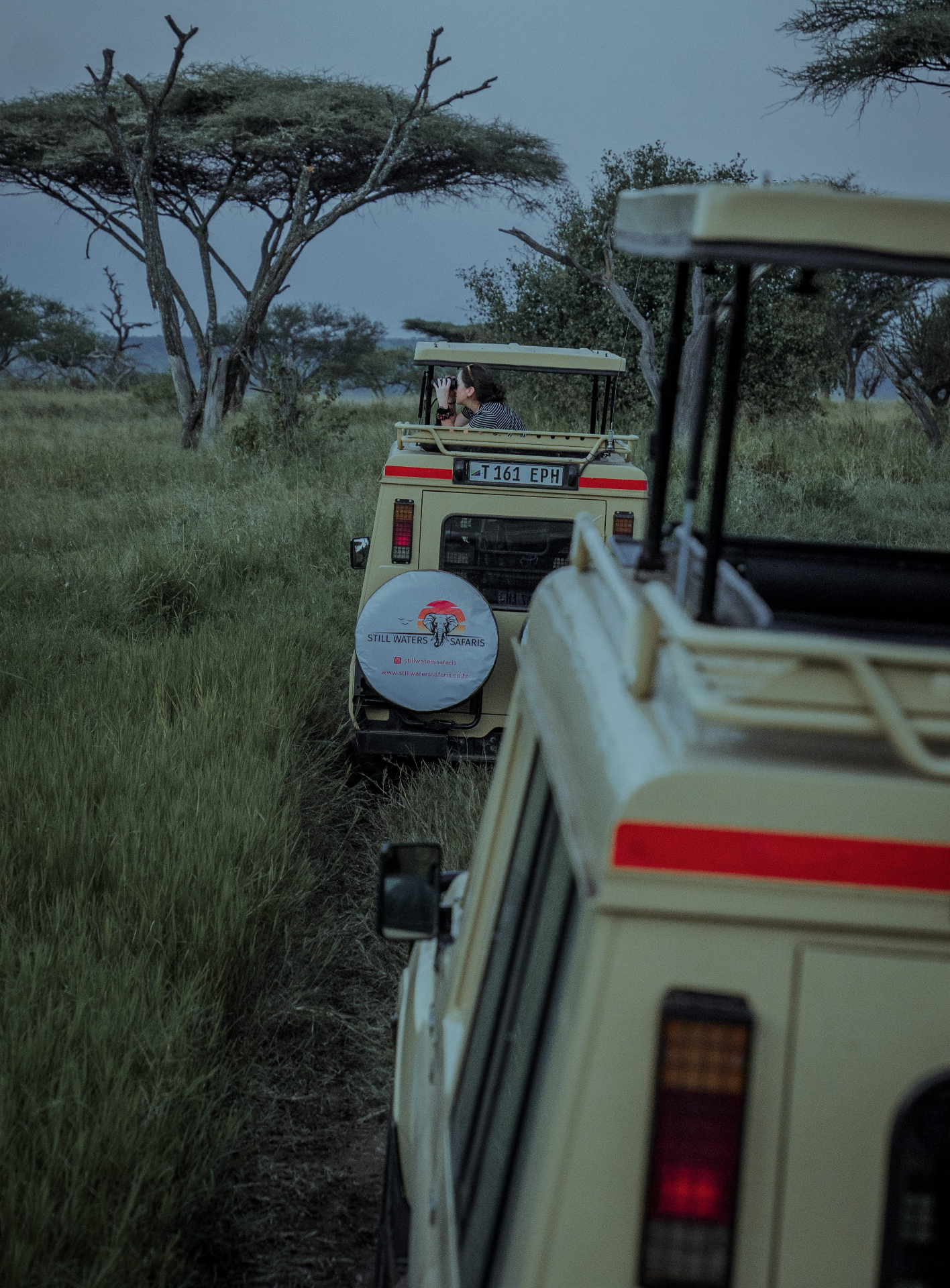 Safari vehicles pausing at dusk in the Serengeti