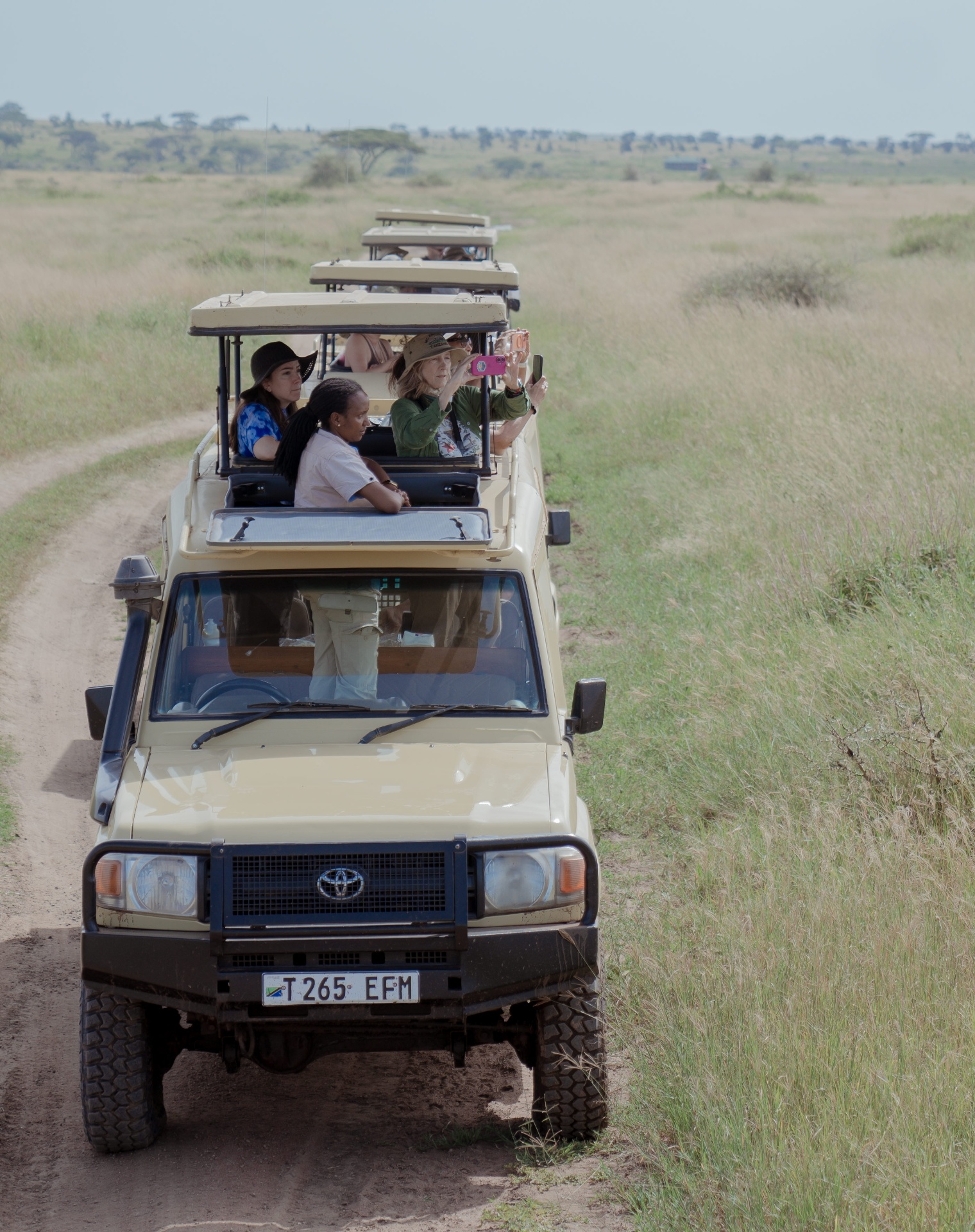 Safari convoy moving through the Serengeti plains