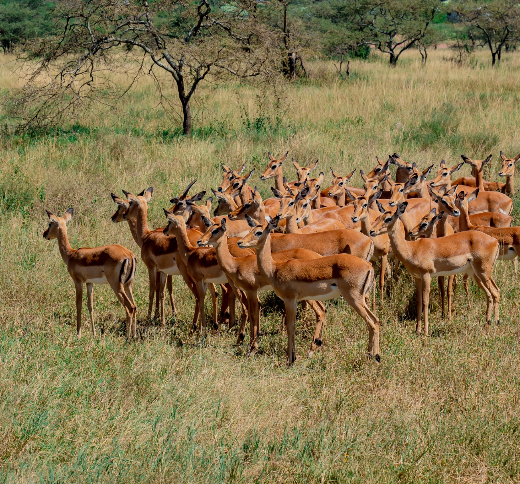 Photography Expeditions