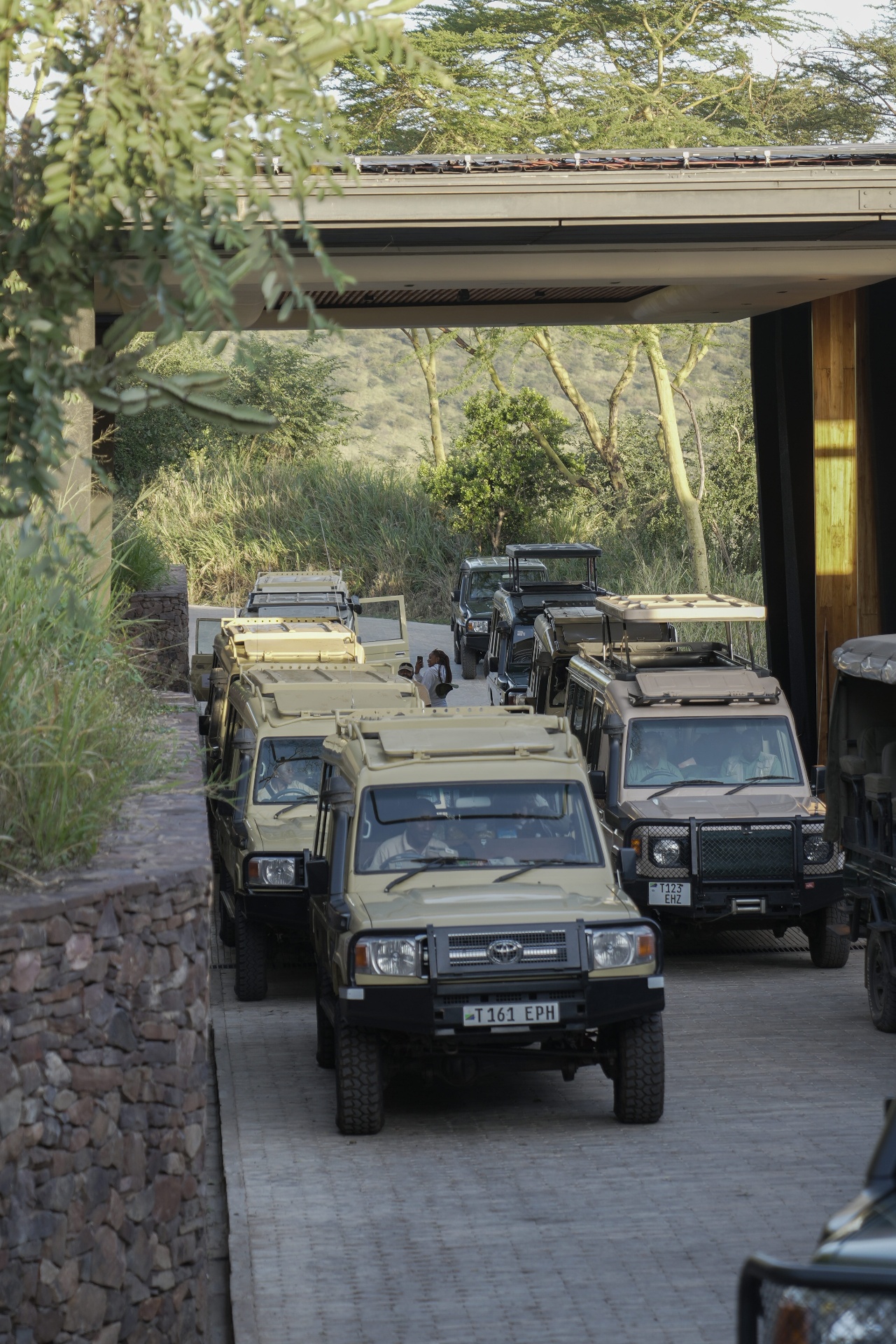 Safari convoy lined up at a Serengeti lodge at golden hour