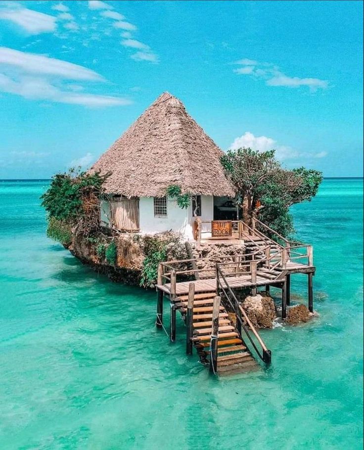 Safari + Zanzibar