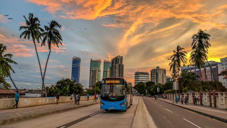 Dar es Salaam at sunset — city bus crossing a palm-lined boulevard