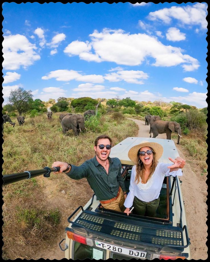 Elephants in Mikumi National Park