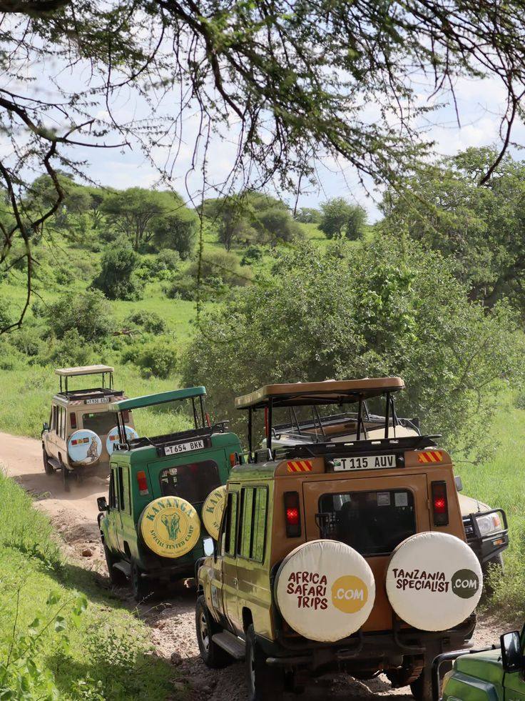 Safari convoy on the trail
