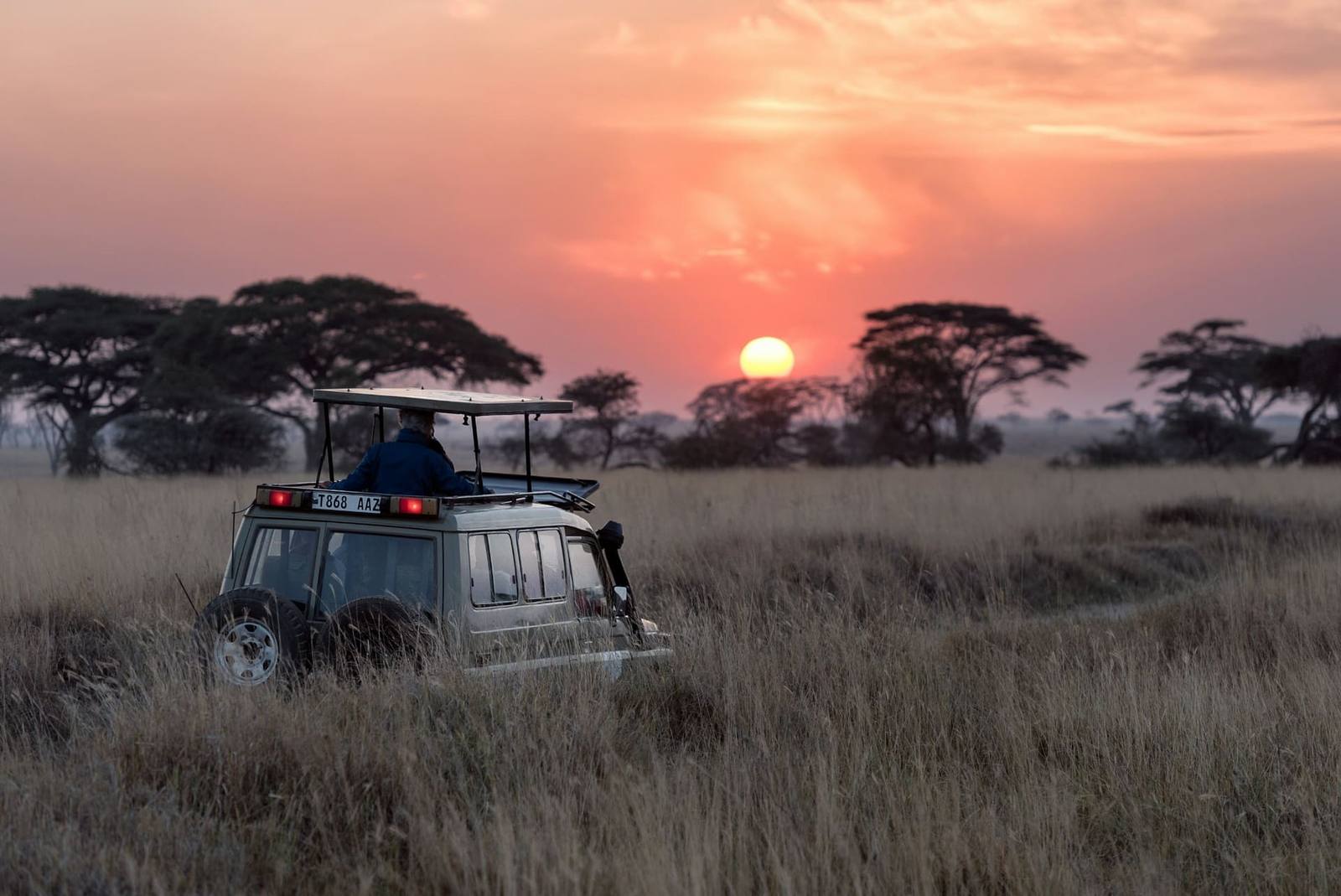 A safari vehicle silhouetted against low sun on the Tanzanian plains