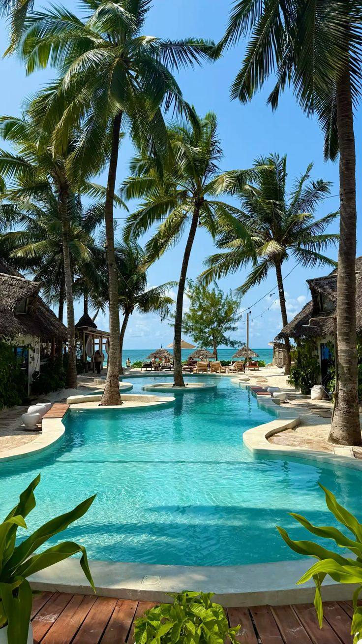 Zanzibar pool with palms